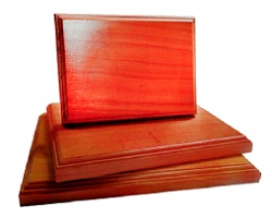 GALVANO RAULI 23X18 Mediano