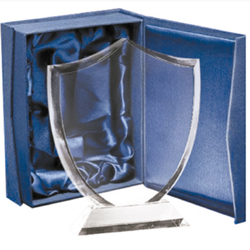 CRISTAL ESCUDO Laser